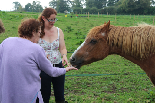 Abbi, Founder of Helping Hooves UK with one of the horses